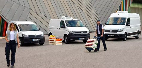 generar alerta de búsqueda de vehículos nuevos Valladolid Wagen