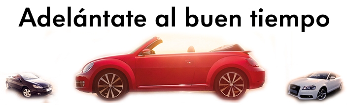 Déjate deslumbrar con las ofertas en Vehículos Cabrio de Ocasión