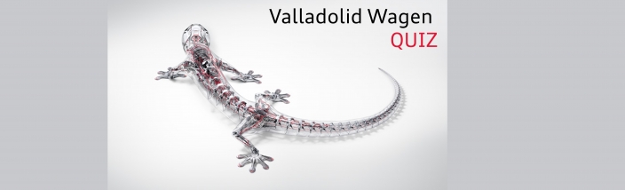 Valladolid Wagen QUIZ