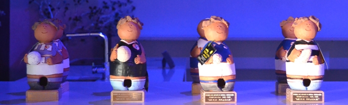 Premios Diario de Valladolid-El Mundo. Temporada 2015-2016