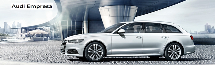 Audi Empresa