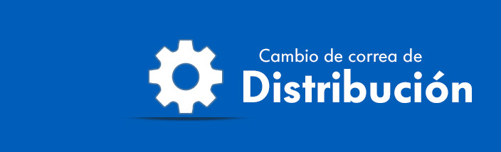 Cambio de correa de distribución