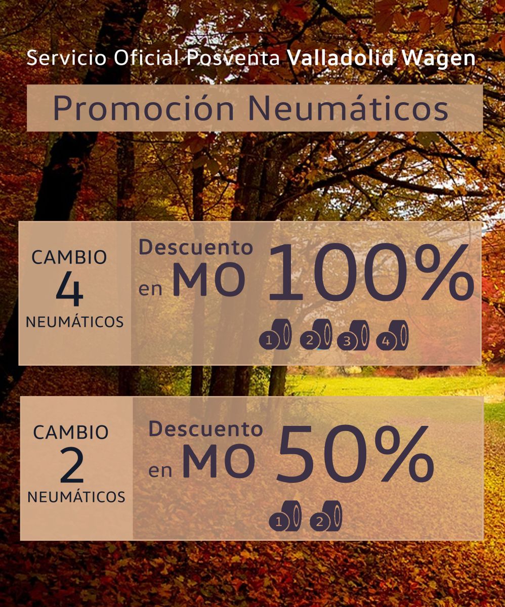 promocion neu,maticos valladolid