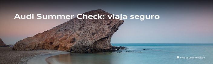Audi Summer Check Valladolid