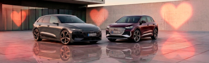 Audi electric lovers | Valladolid Wagen